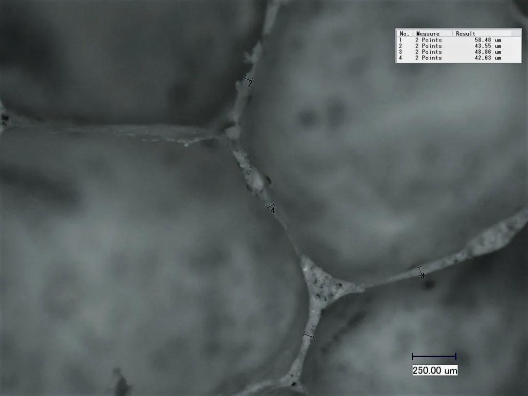 图5 超大孔隙率-3.jpg